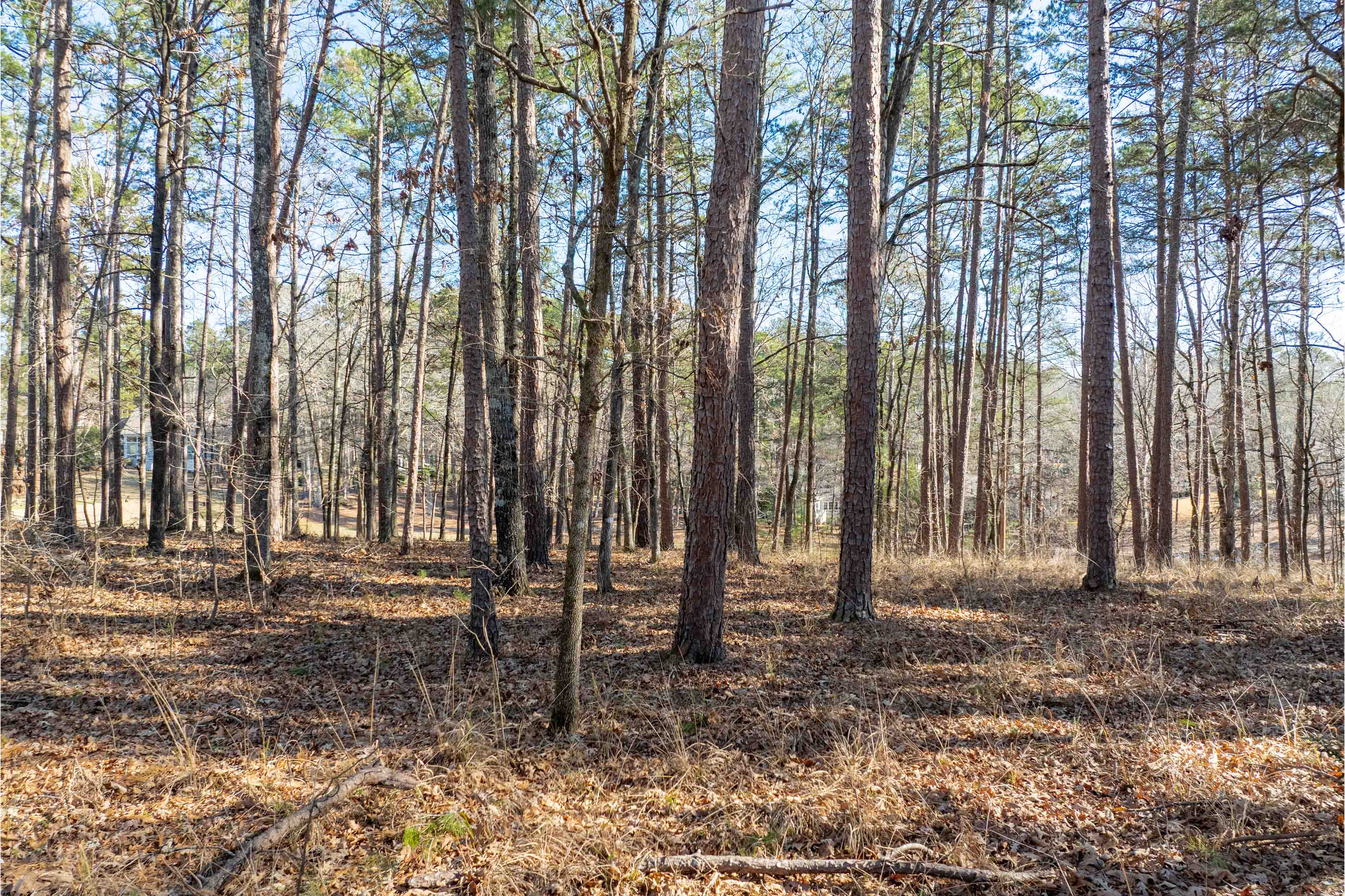 1180 Planter's Trail image 6